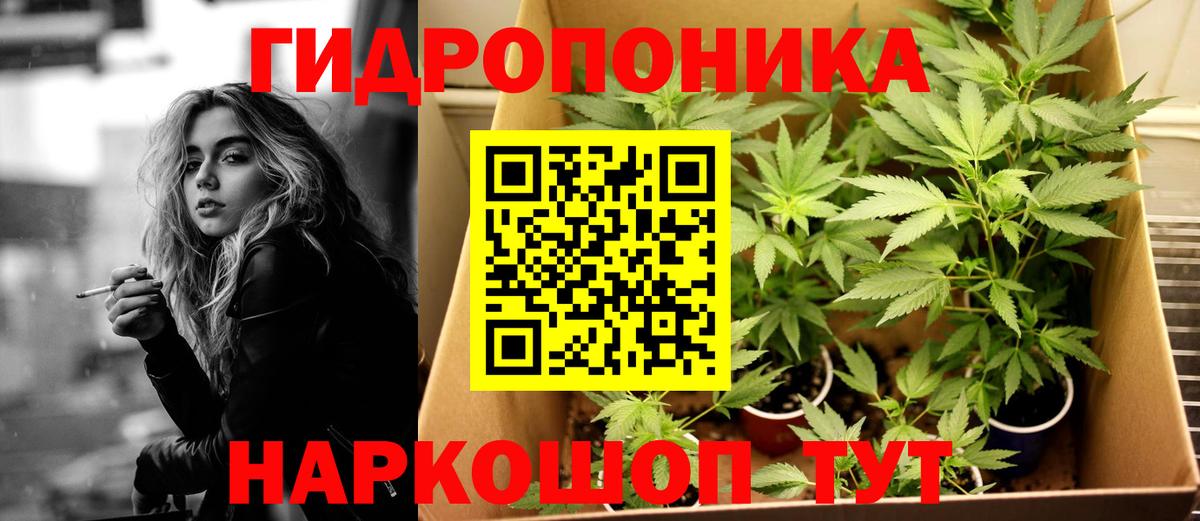 Тверь  Марихуана VHQ  Канабис конопля  Вход с VPN  Марихуана ГИДРОПОН  Бошки марихуана OG Kush 